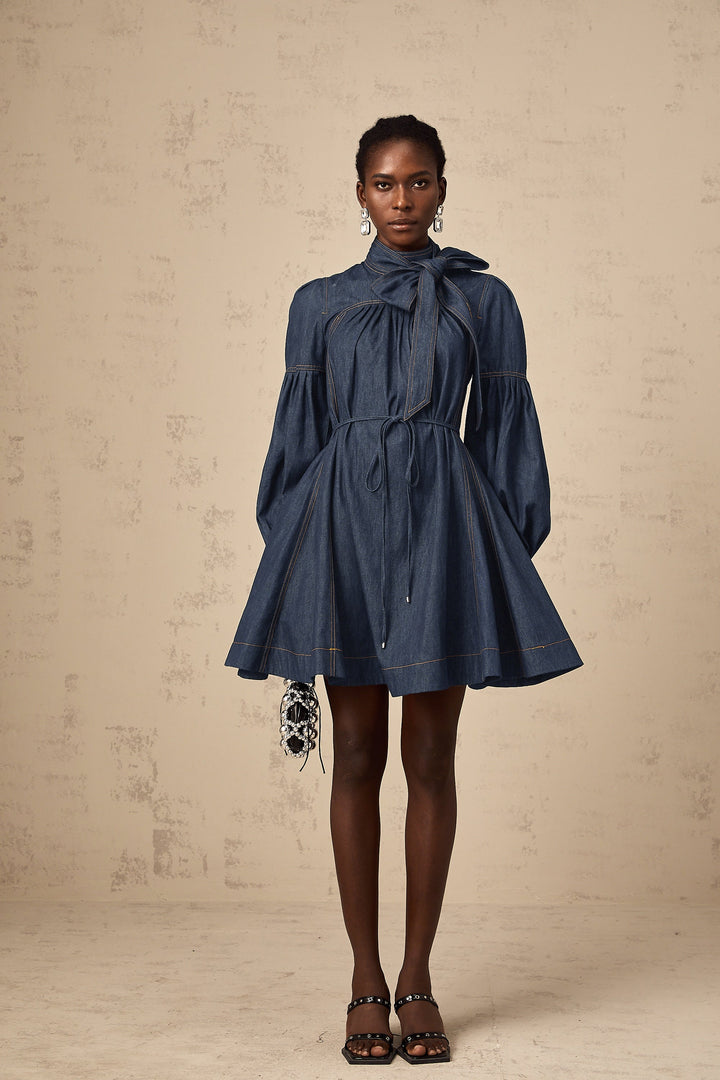 Avellia Mirabel Midnight Stitch Denim Mini Dress