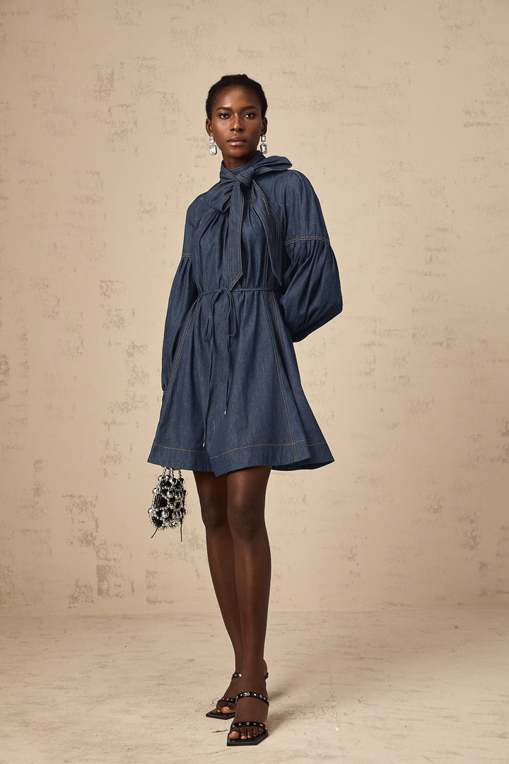 Avellia Mirabel Midnight Stitch Denim Mini Dress