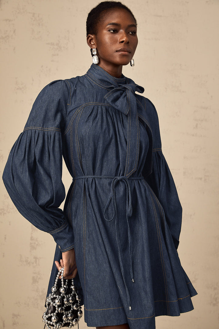 Avellia Mirabel Midnight Stitch Denim Mini Dress