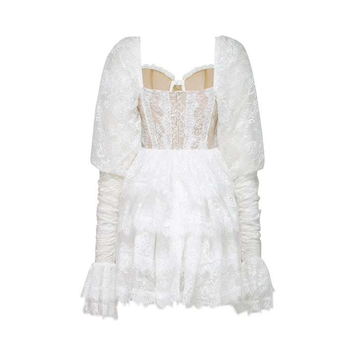 Avellia Elise Semi-Sheer Lace-Trim Mini Dress